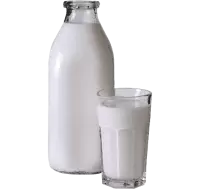 البان و اجبان فى الهند