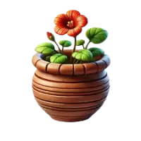 تنسيق حدائق فى الهند