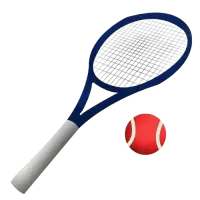 العاب المضرب فى الهند