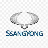 سانغ يونغ فى الهند