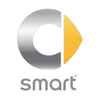 سمارت فى الهند