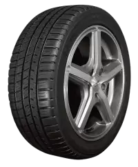 جنط مع كوشوك فى الهند