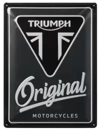 تريومف فى الهند