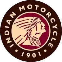 انديان فى الهند