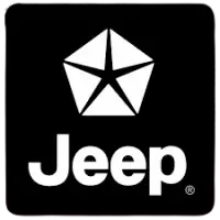 قطع غيار جيب فى الهند