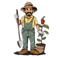 بستنجي - تنسيق حدائق فى الهند