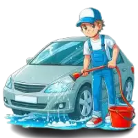 تنظيف السيارات فى الهند