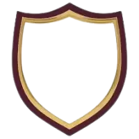 شعارات وهويات بصرية فى الهند