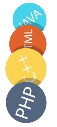 لغات البرمجة فى الهند