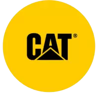 كات فى الهند