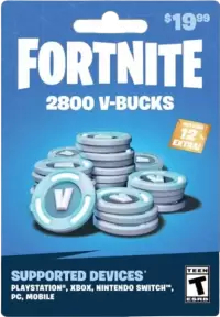 فورت نايت فى الهند