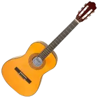 جيتار - عود للبيع في الهند