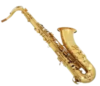 آلات نفخ موسيقية للبيع في الهند